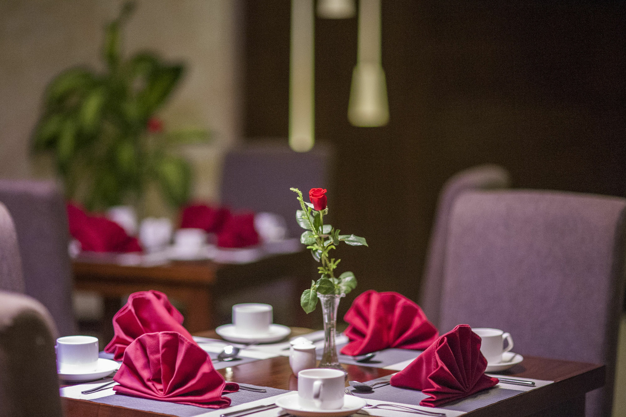 Muong Thanh Grand Quang Tri Hotel Eksteriør billede